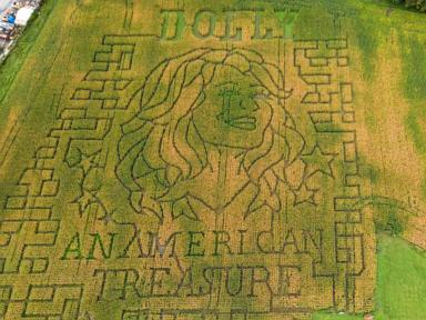 Dolly Parton corn mazes crop up in fields nationwide