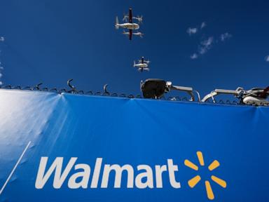 The Anatomy of Walmart Margin Compression Structural Vulnerabilities Behind Strong Topline Quarters