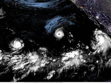 Edouard, now a tropical depression, drenches Texas with flash flooding and downed trees