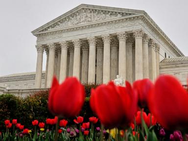 PoliticsWireDaily — Alabama and Tennessee move to draw new congressional districts in wake of Supreme Court ruling