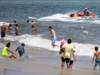Swimmer bitten on the foot at New York City beach in a suspected shark attack