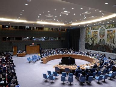 UN adopts resolution to ensure perpetrators of crimes against peacekeepers face justice