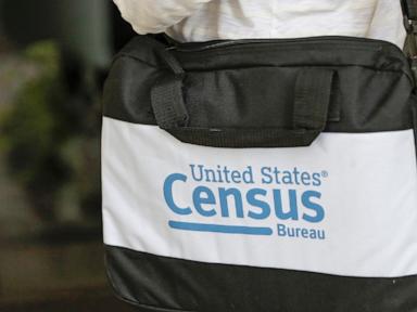 Republicans renew efforts to limit people in US illegally from census count