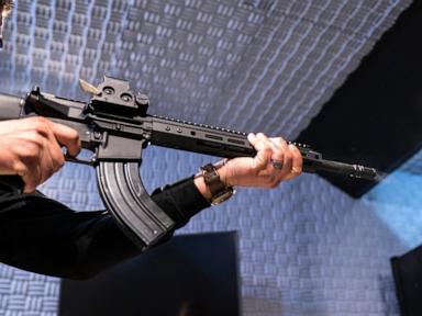 Federal appeals court rules that New Jersey's assault weapons ban is unconstitutional