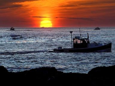 Why The Maine Lobster Defamation Lawsuit Puts Free Speech On The Line