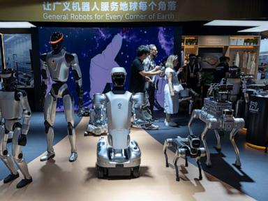 The Structural Anatomy of the Federal Humanoid Robotics Ban