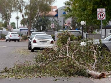 Hail the size of golf balls pummels parts of Arizona as rare storm moves through the West