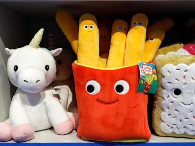 Hydrocarbon Dependency and the Geopolitical Risk Premium: A Structural Analysis of Consumer Inflation