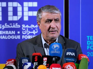 Iran's nuclear chief not expected to attend IAEA General Conference, official says