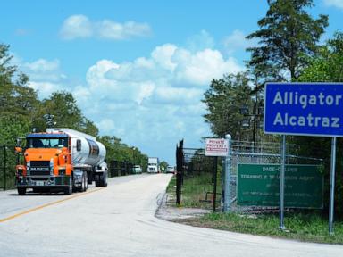 The Battle for the Marsh and the Shadow of the Steel Bars