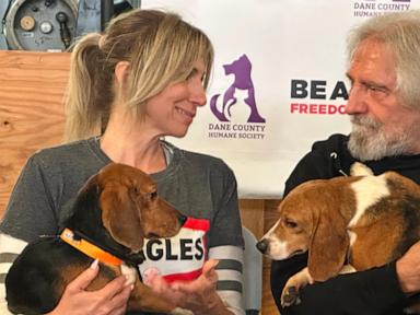 Geezer Butler and Debbie Gibson Join the Fight Against the Lab Beagle Pipeline