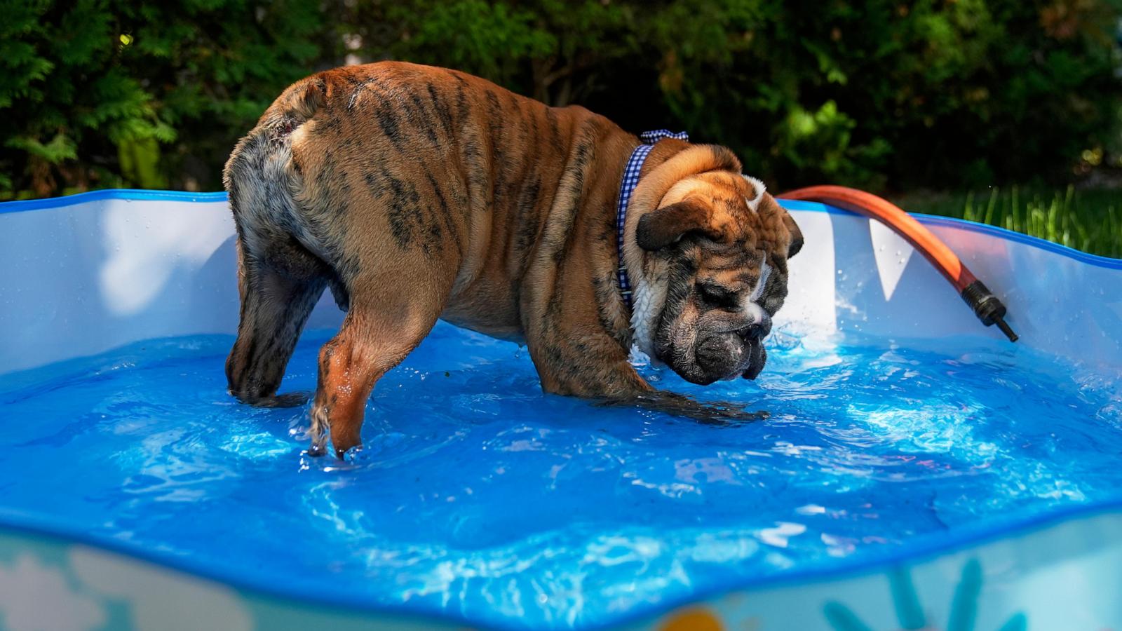 Eastern half of U.S. braces for more long days of dangerous heat