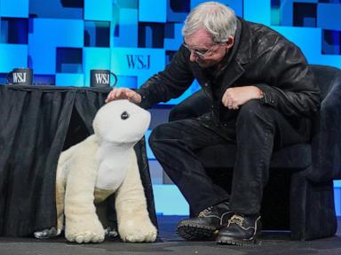 Your House Does Not Need a Robot Pet and Joe Jones Knows It