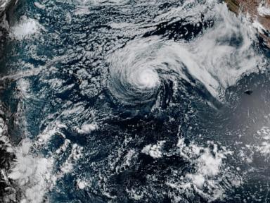 The Mechanics of Dual Pacific Cyclones A Thermodynamic Breakdown