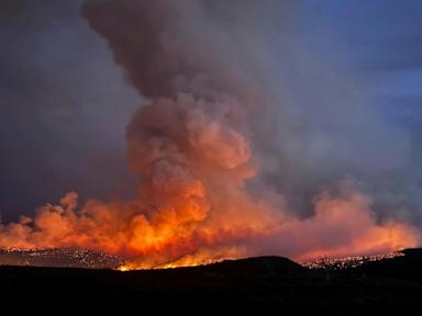 A man trying to cremate his dog sparked a wildfire in Colorado, authorities say