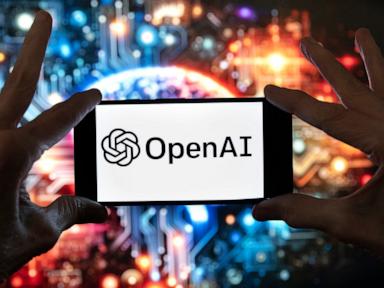 OpenAI says its models engaged with US government websites in new model misbehavior disclosure