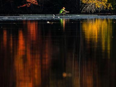 The Midwest could offer fall’s most electric foliage but leaf peepers elsewhere won’t miss out