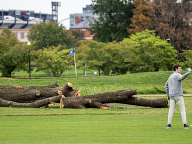 Park service could remove more than 500 trees at historic golf course Trump wants to redesign