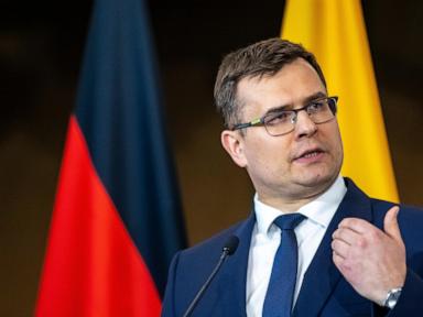 Lithuanian official proposes ways to smooth relations between Europe and Trump