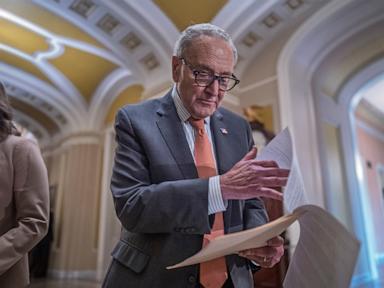 Chuck Schumer has broad support from his caucus, but midterms could decide his future as leader