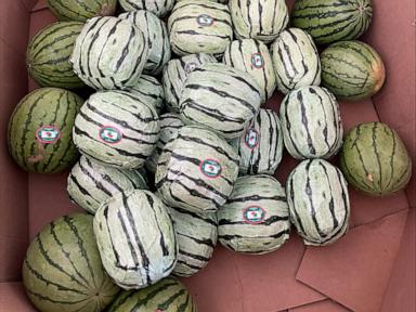 Methamphetamine disguised as shipment of watermelons seized at US-Mexico border