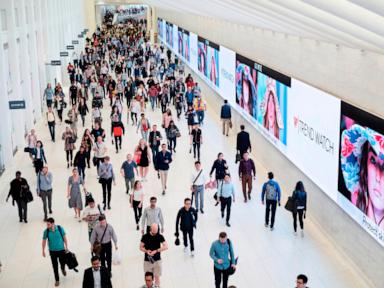 Young Americans’ job market optimism falls as older adults stay upbeat, new Gallup poll finds
