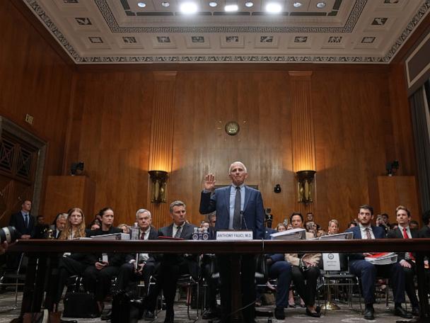 Dr. David Morens Pleads Guilty to Hiding COVID-19 Origin Documents Amid Fauci Controversy