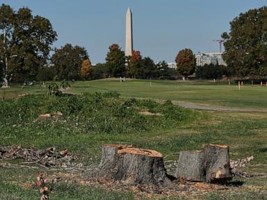Judge extends court-ordered block on Trump’s renovation plans for public golf course
