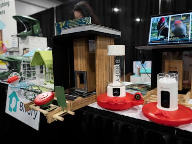 Smart bird feeders gain popularity and spark interest in bird-watching