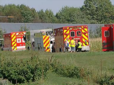 Dozens injured after wagon overturns at apple orchard: Authorities