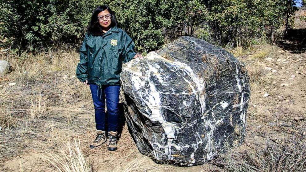 Wizard Rock, a black boulder with white quartz running through it, was reported missing from the Prescott National Forest by several residents last month, according to the United States Forest Service.