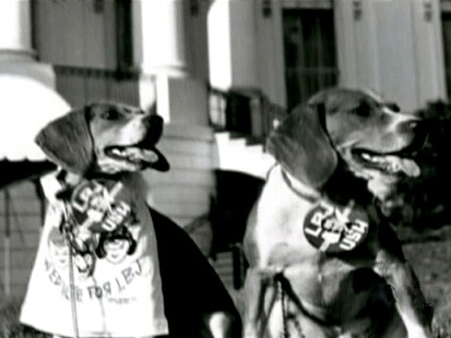 President Johnsons dogs