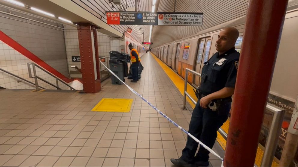 Woman In Critical Condition After Being Shoved Into Moving Nyc Subway