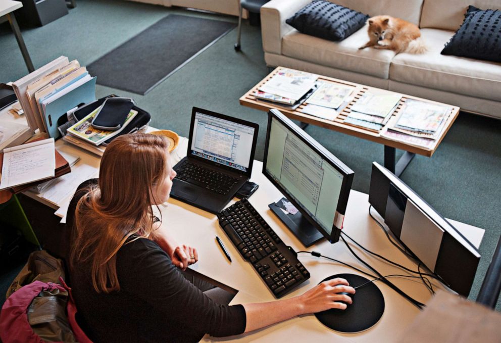 PHOTO: Working from home. 