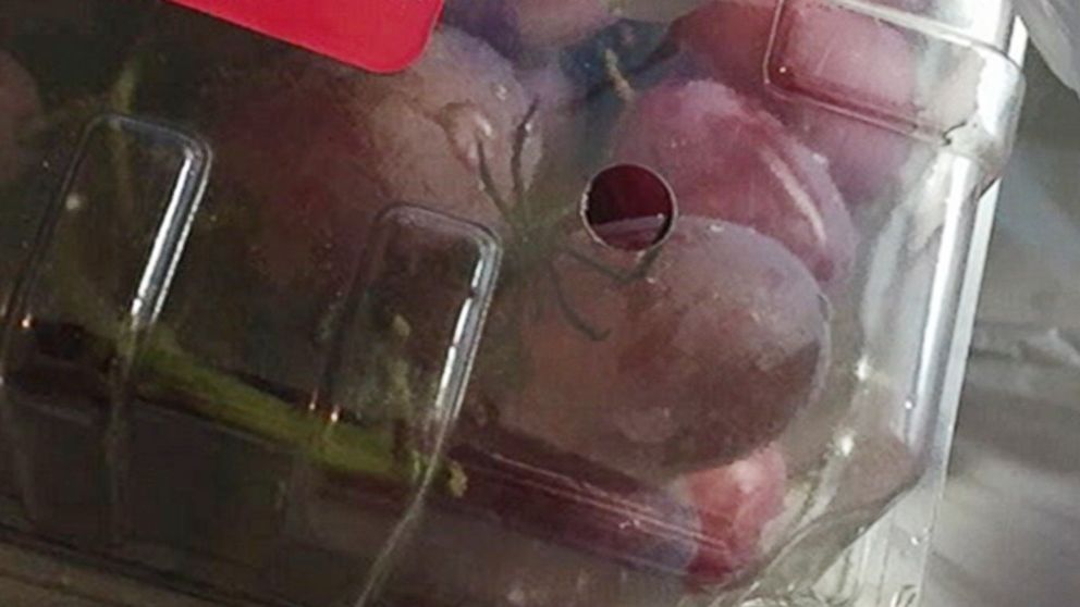 PHOTO: Ariel Jackson of Troy, Mich. says that she found a black widow spider in a package of grapes that she purchased from a Walmart Supercenter.