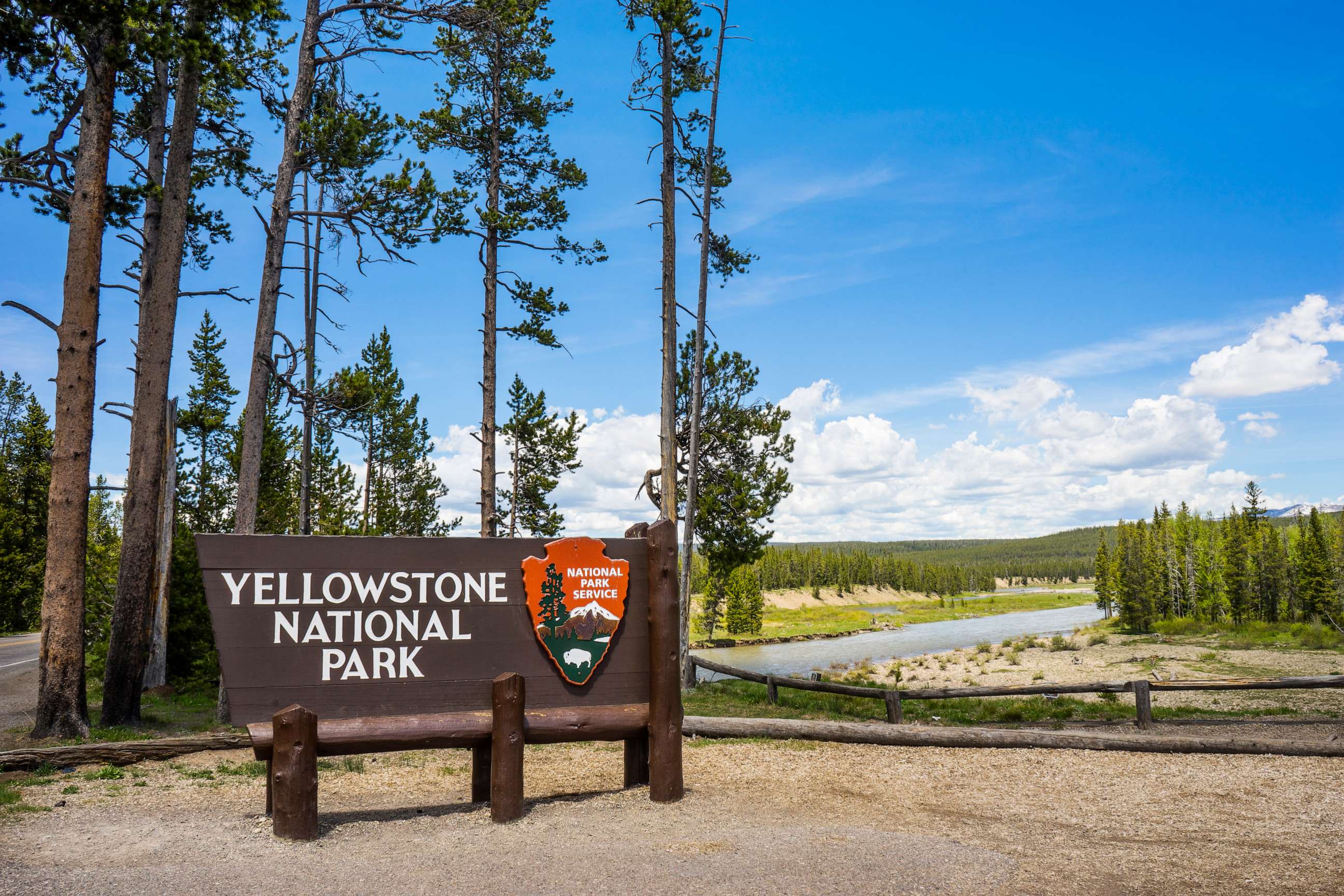 Woman gored by Bison at Yellowstone - ABC News