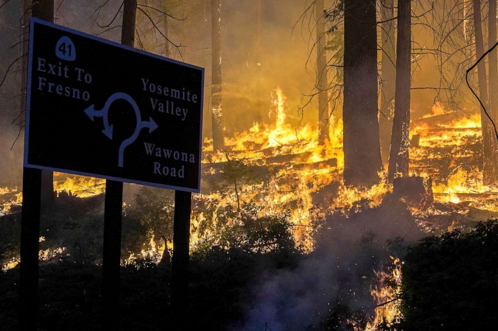 PHOTO: The Washburn Fire burns between the Mariposa Grove and the southern entrance into Yosemite National Park in Wawona, California, July 11, 2022.
