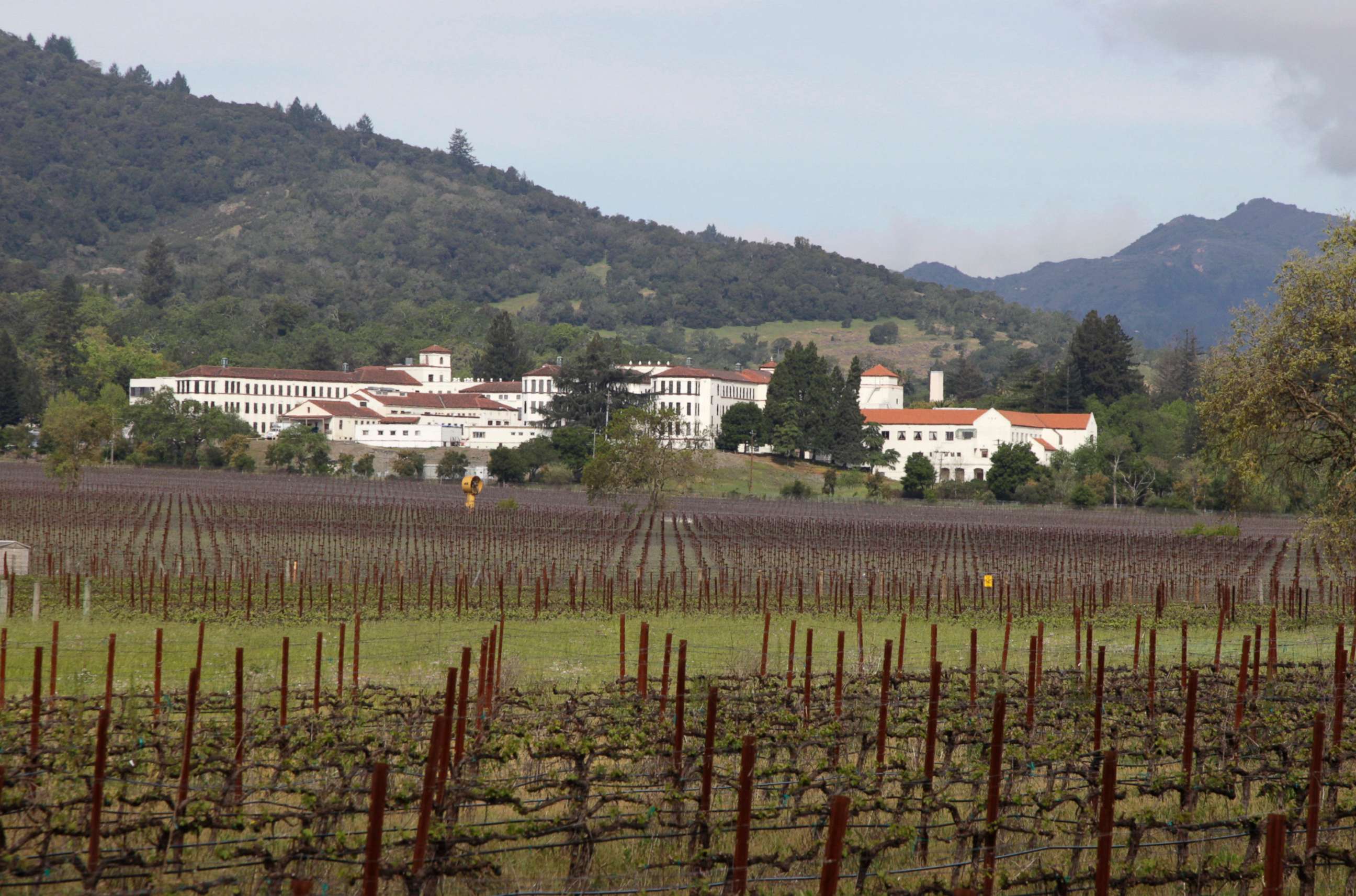 PHOTO: In this April 17, 2011 file photo, vineyards are shown in front of the Veterans Home of California in Yountville, Calif.