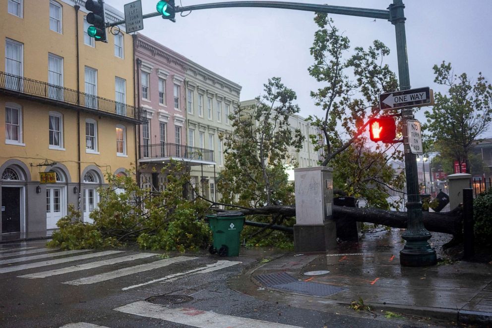 PHOTO: A tree lays across North Peters Street as Hurricane Zeta sweeps through New Orleans, Oct. 28, 2020.