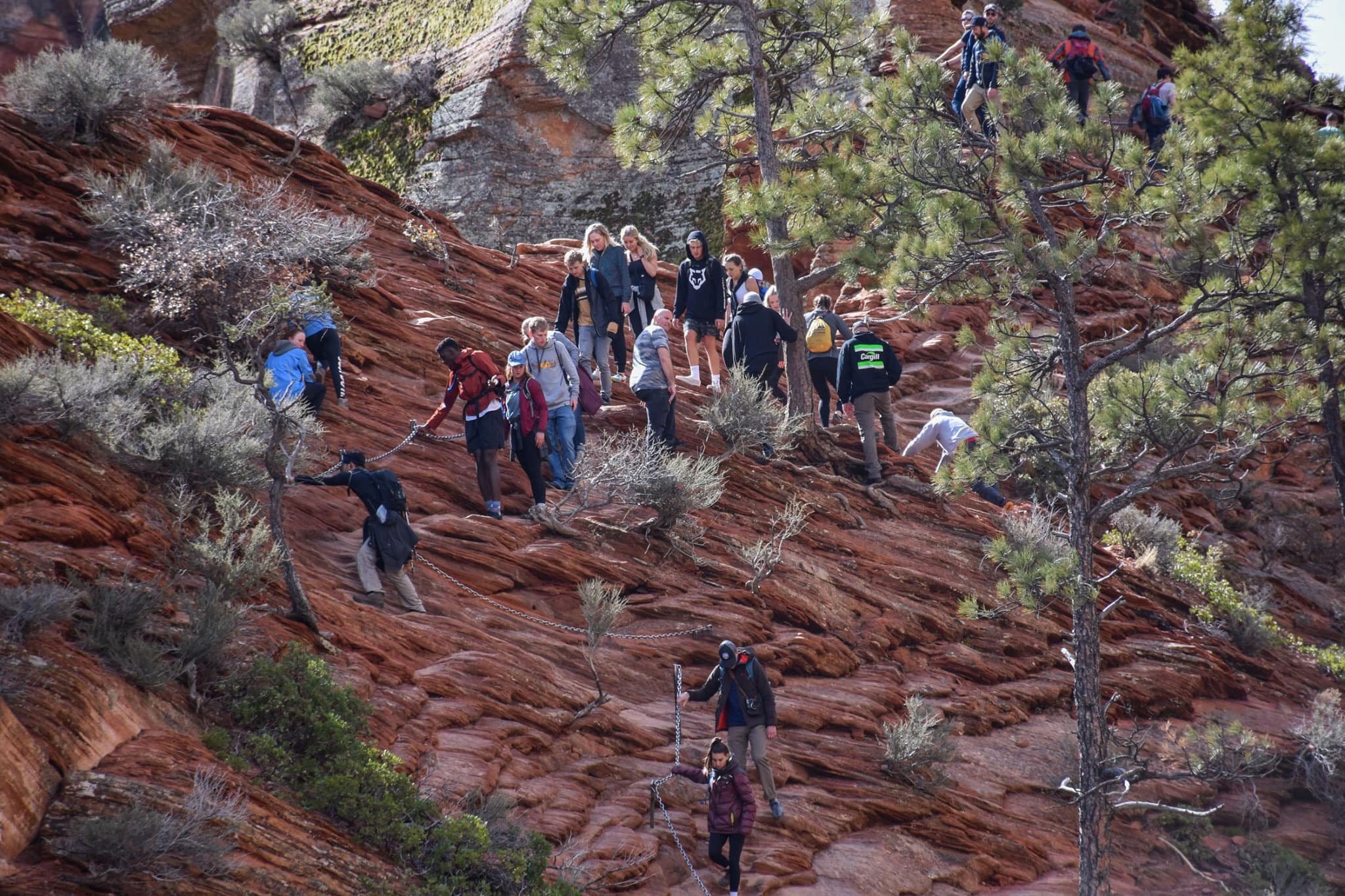 PHOTO: People crowd together while navigating a narrow hiking trail at Zion National Park in Utah, March 21, 2020, in a photo shared via Twitter by the National Park Service.