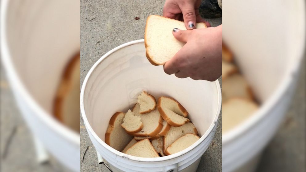 PHOTO: The commissary manager at the Maryland Zoo expressed concern about being able to buy hard-to-find foods like white bread during the COVID-19 pandemic. White bread is one tool zoo keepers use for animal enrichment.
