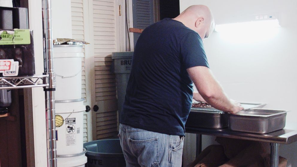 PHOTO: Ben Rasmussen sorting through cocoa beans in his Woodbridge, Virginia basement.