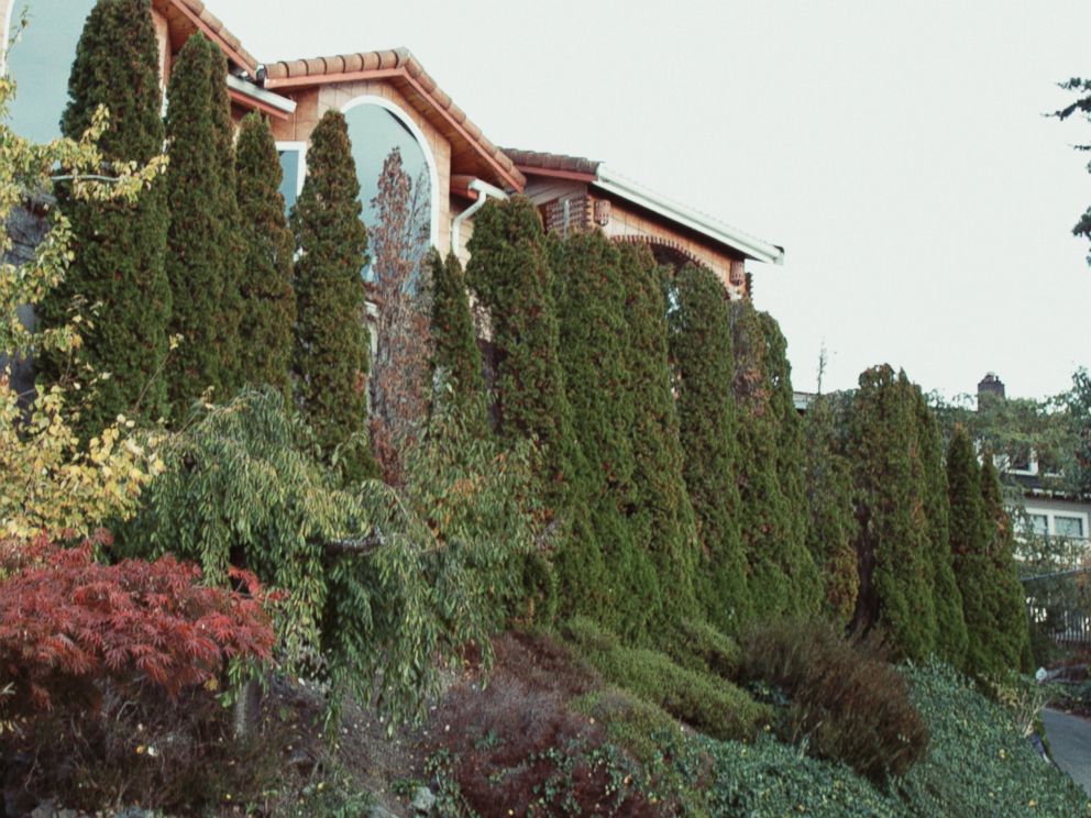 PHOTO: The outside hillside of Robert Lang Studios in Shoreline, Wash. is seen here.