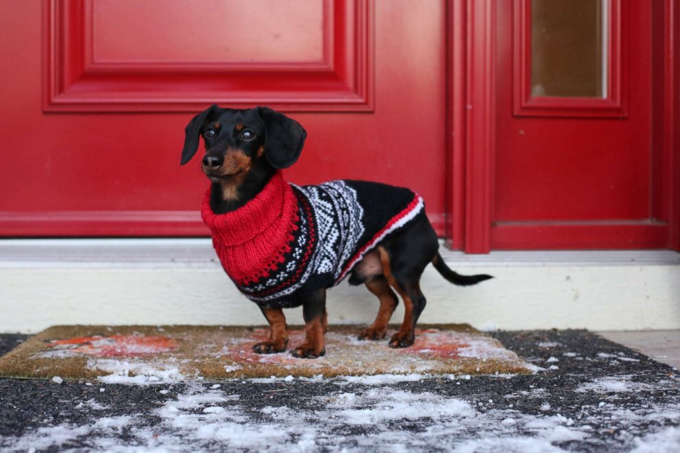 PHOTO: Crusoe poses for a photo on the doorstep of his home outside of Ottawa, Canada.
