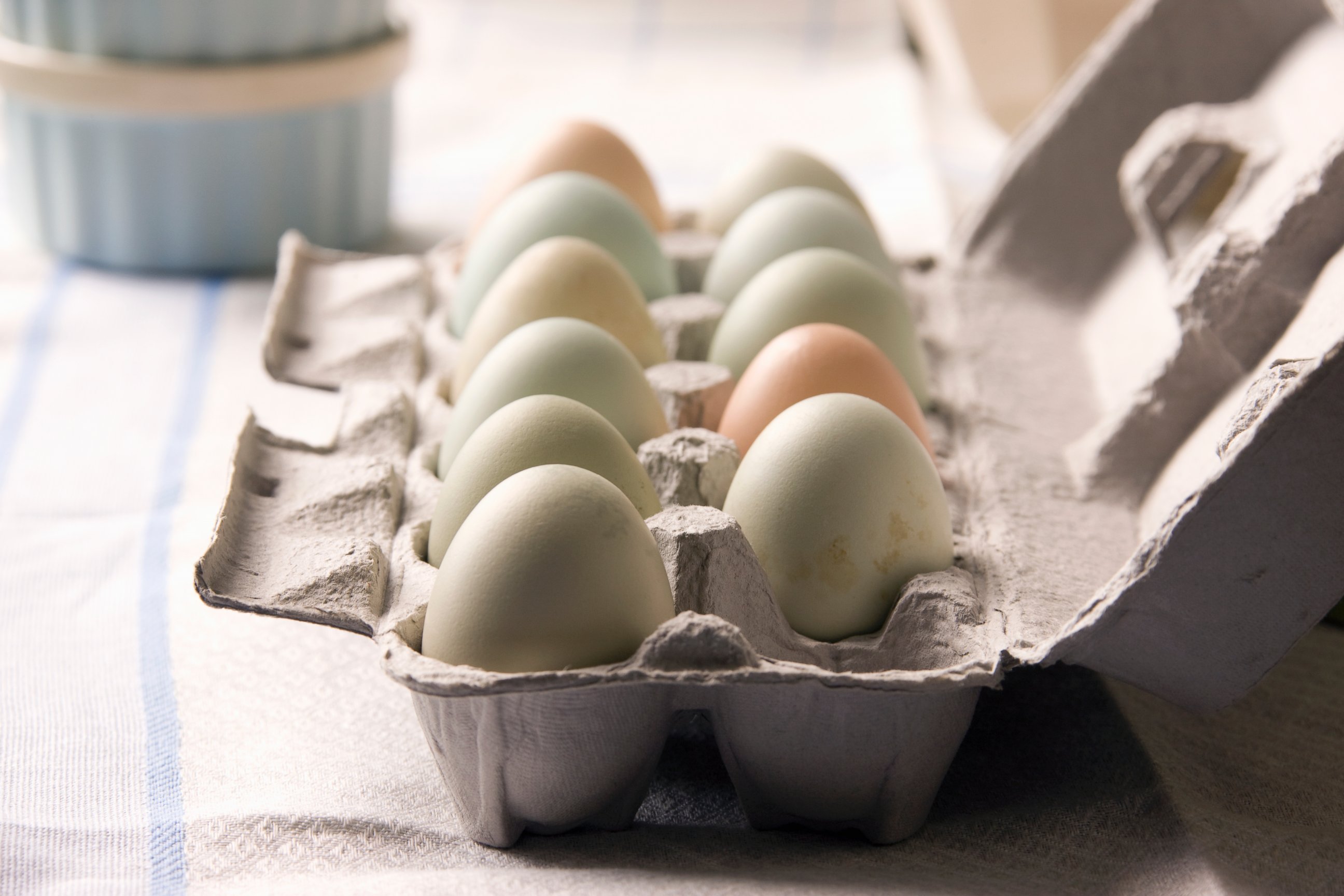 PHOTO: Eggs in a carton on a table in this undated photo.