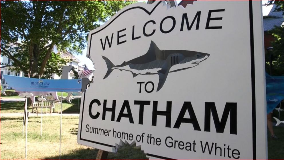 PHOTO: A sign in front of the library in the center of Chatham, Massachusetts proclaims "Welcome to Chatham. Summer home of the Great White."