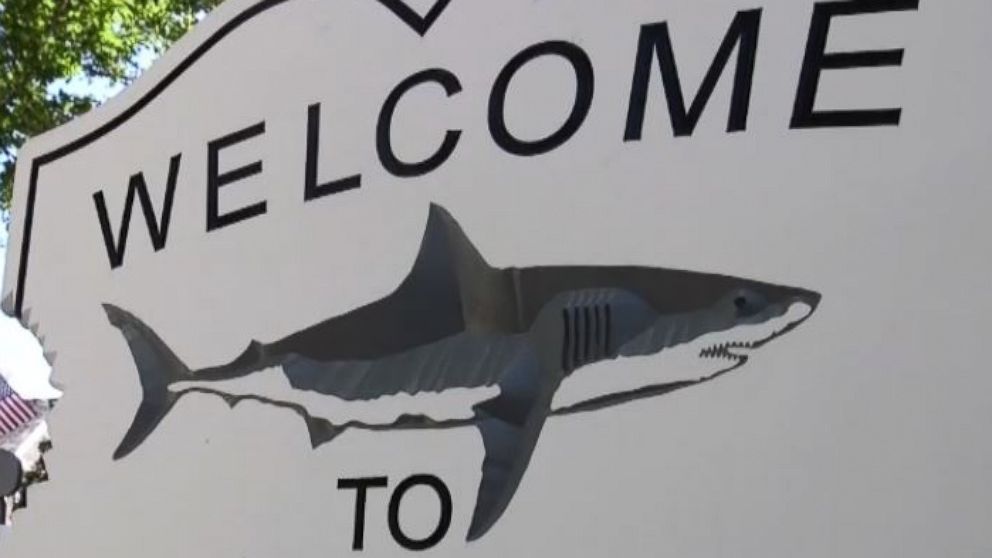 PHOTO: A sign in front of the library in the center of Chatham, Massachusetts proclaims "Welcome to Chatham. Summer home of the Great White."