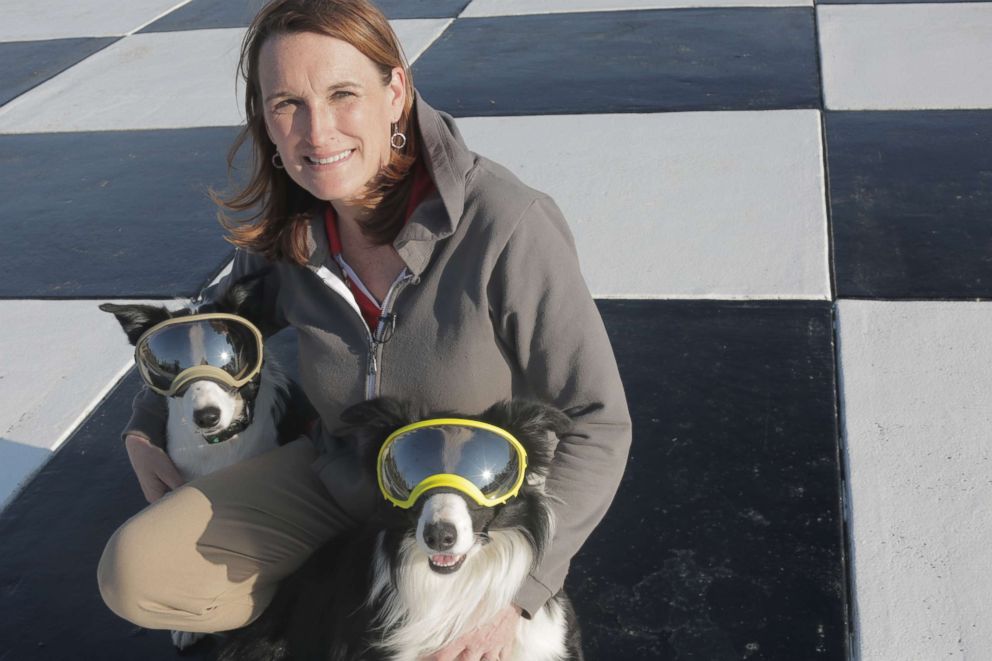 PHOTO: Rebecca Gibson with her border collies, Bett and Greg, who she raised and trained.