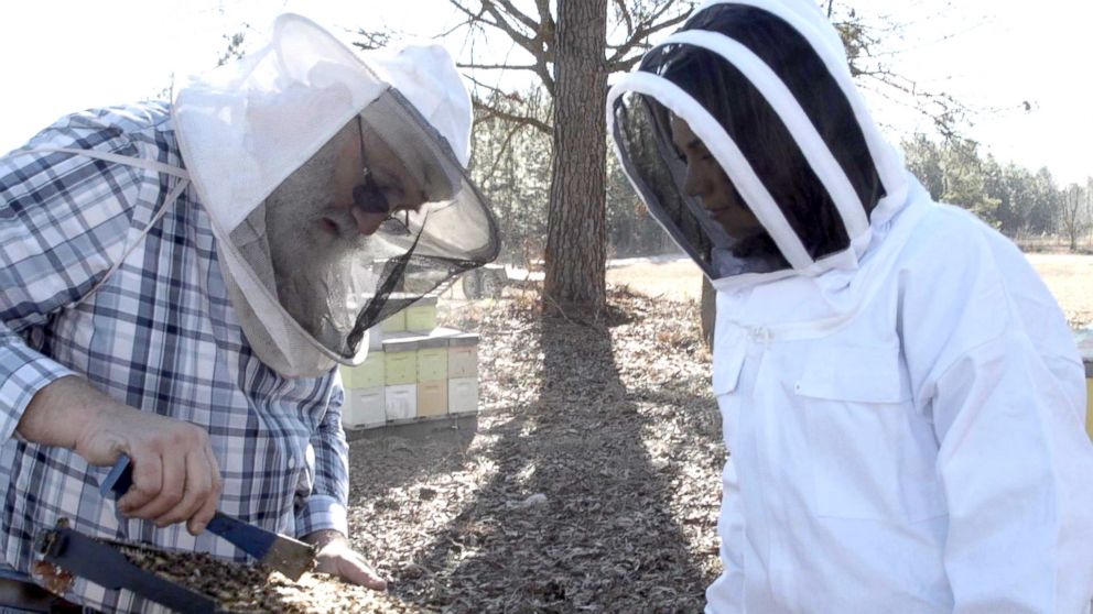 PHOTO: Beekeeper Chuck Kutik with Ginger Zee on his farm in Manning, South Carolina.