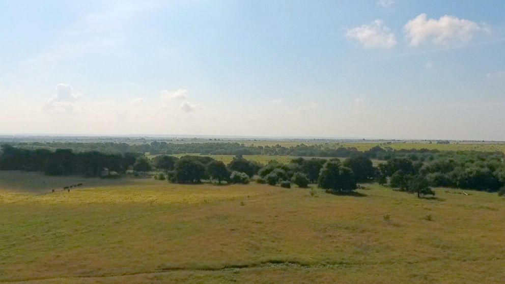 PHOTO: Jon Taggart's farm in Grandview, Texas. Soil health has helped the farm withstand drought. 